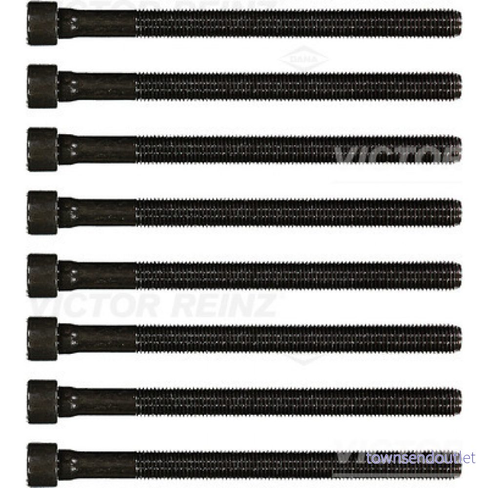 REINZ 14 32059 02 Jeu De Vis Culasse Polygone intérieur AUDI: A4 B6/B7 Cabriolet, B6 Berline, A6 C5 VOLKSWAGEN: Passat B5 GP Berline 4026634386934