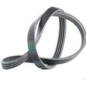 Flerspårsrem CONTINENTAL CTAM 4PK775 4010858521394 Flerspårsrem CONTINENTAL CTAM 4PK775 4010858521394
